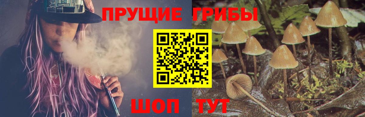Геленджик  Псилоцибиновые грибы GOLDEN TEACHER  Псилоцибиновые грибы мухоморы  продажа наркотиков  Вход с VPN 